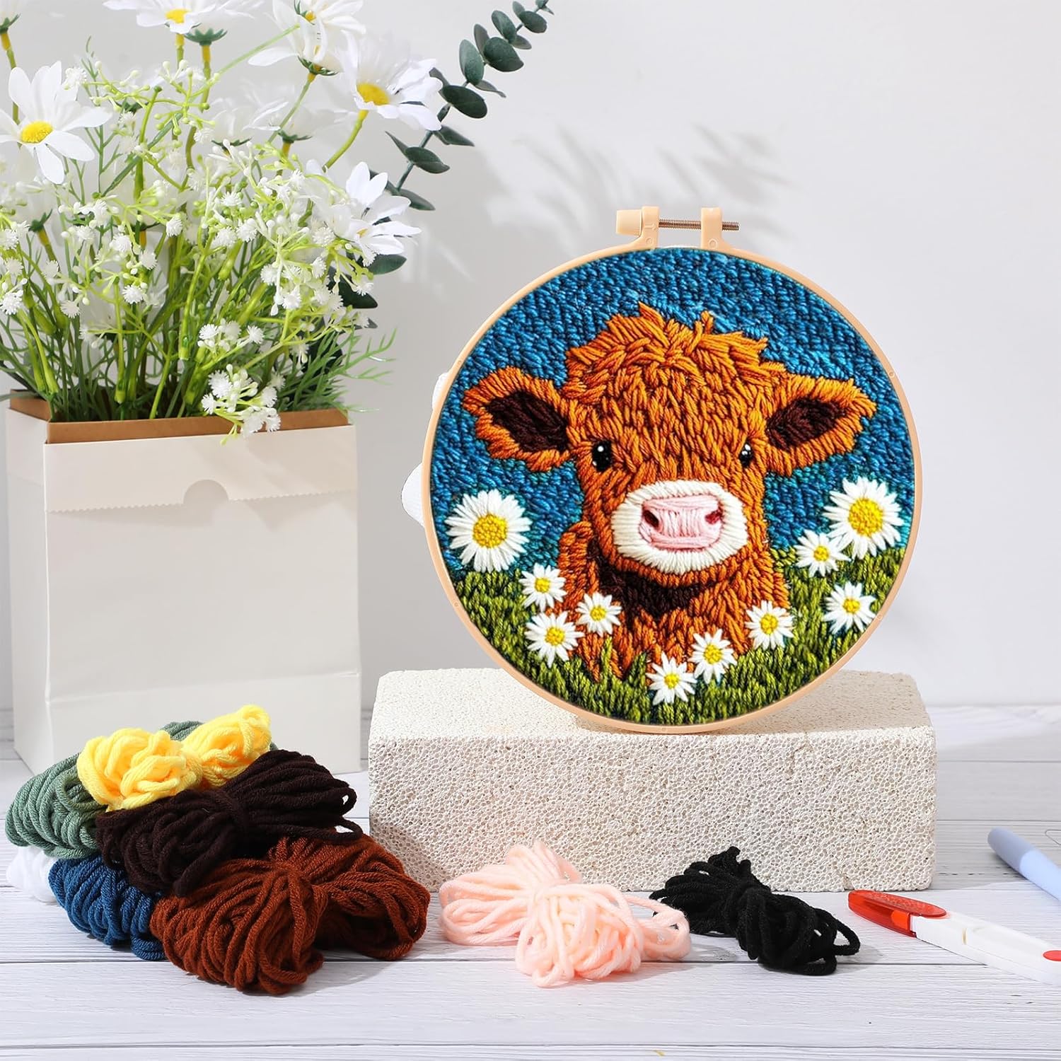 Chenistory kit de agulha de pe - Embroidery Converter avaliação e preço